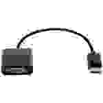 HP FH973AA DisplayPort Adapter [1x DVI-D Kupplung - 1x DisplayPort Stecker] 19.00cm