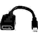 HP 2MY05AA DisplayPort Adaptateur [1x Mini port Display mâle - 1x DisplayPort femelle]