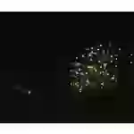 Sygonix SY-4722042 Mini-Lichterkette Innen/Außen batteriebetrieben Anzahl Leuchtmittel 50 LED Warmweiß Beleuchtete Länge: 5.4m Sygonix SY-4722042 Mini-Lichterkette Innen/Außen batteriebetrieben Anzahl Leuchtmittel 50 LED Warmweiß Beleuchtete Länge: 5.4m