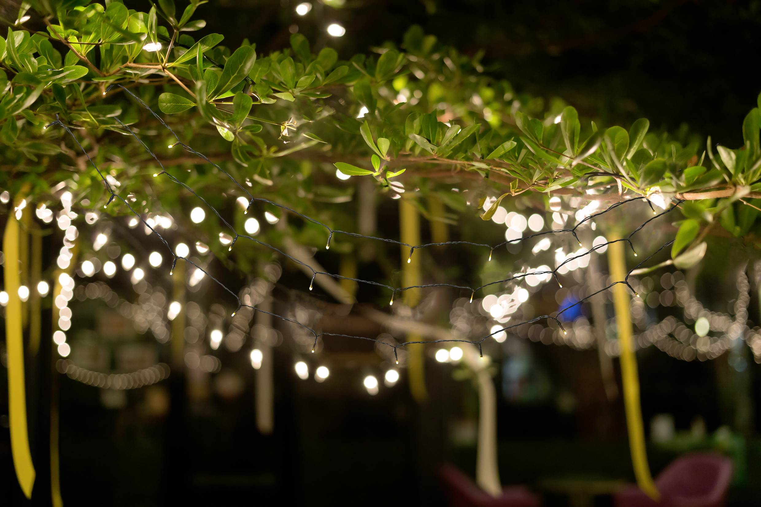 Lichterketten sind in den Zweigen eines Baumes angebracht, schaffen eine gemütliche, festliche Atmosphäre im Dunkeln.