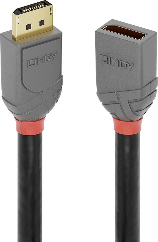 Ein graues DisplayPort-Kabel mit rotem Akzent, männlicher und weiblicher Stecker. Markierung 'Lindy' auf den Steckern.