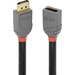 LINDY DisplayPort Verlängerungskabel DisplayPort Stecker, DisplayPort Buchse 2.00 m Anthrazit, Schw