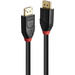 LINDY DisplayPort Anschlusskabel DisplayPort Stecker, DisplayPort Stecker 5.00 m Schwarz 41167 Ultr