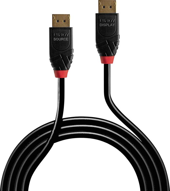 Schwarzes DisplayPort-Kabel mit zwei Steckern, einer mit 'SOURCE', der andere mit 'DISPLAY' markiert. Beide Stecker haben rote Akzente.