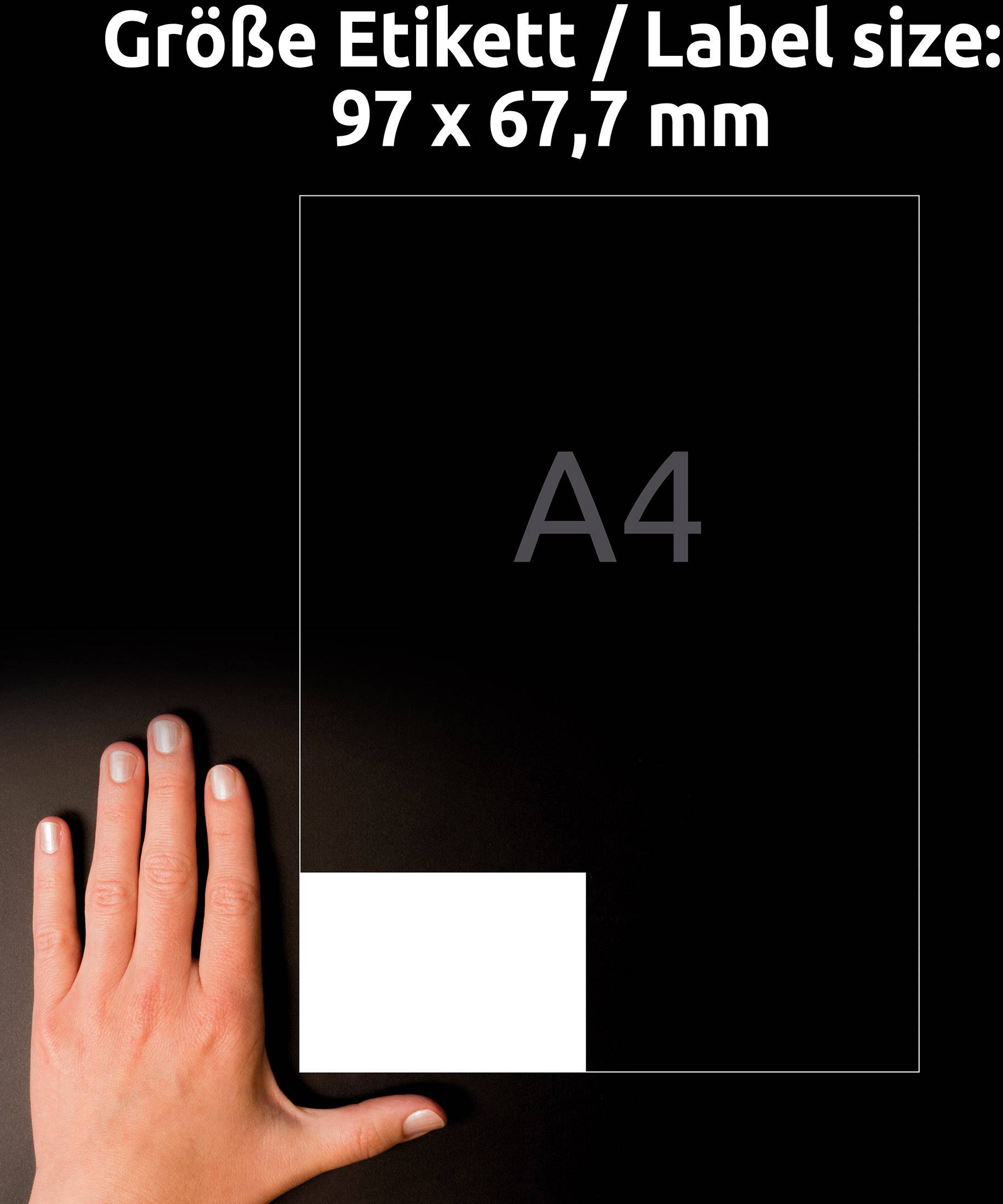 Hand neben einem A4-Blatt, auf dem die Größe eines Etiketts mit 97 x 67,7 mm markiert ist.