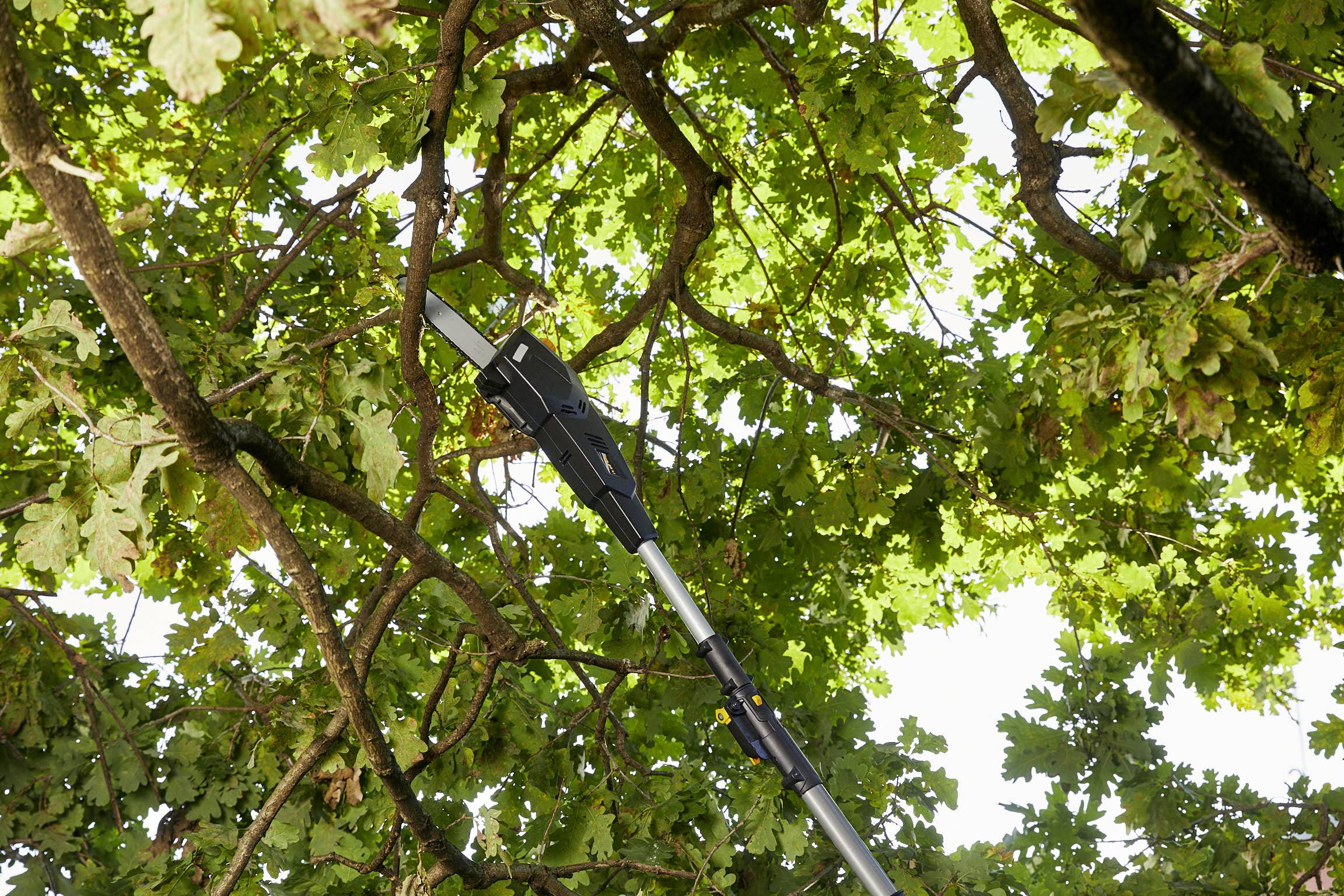 ALPINA Outdoor 271724104/A21 Akku Multitool, Hochentaster, Heckenschere AMT 20 Li 230 V Li-Ion