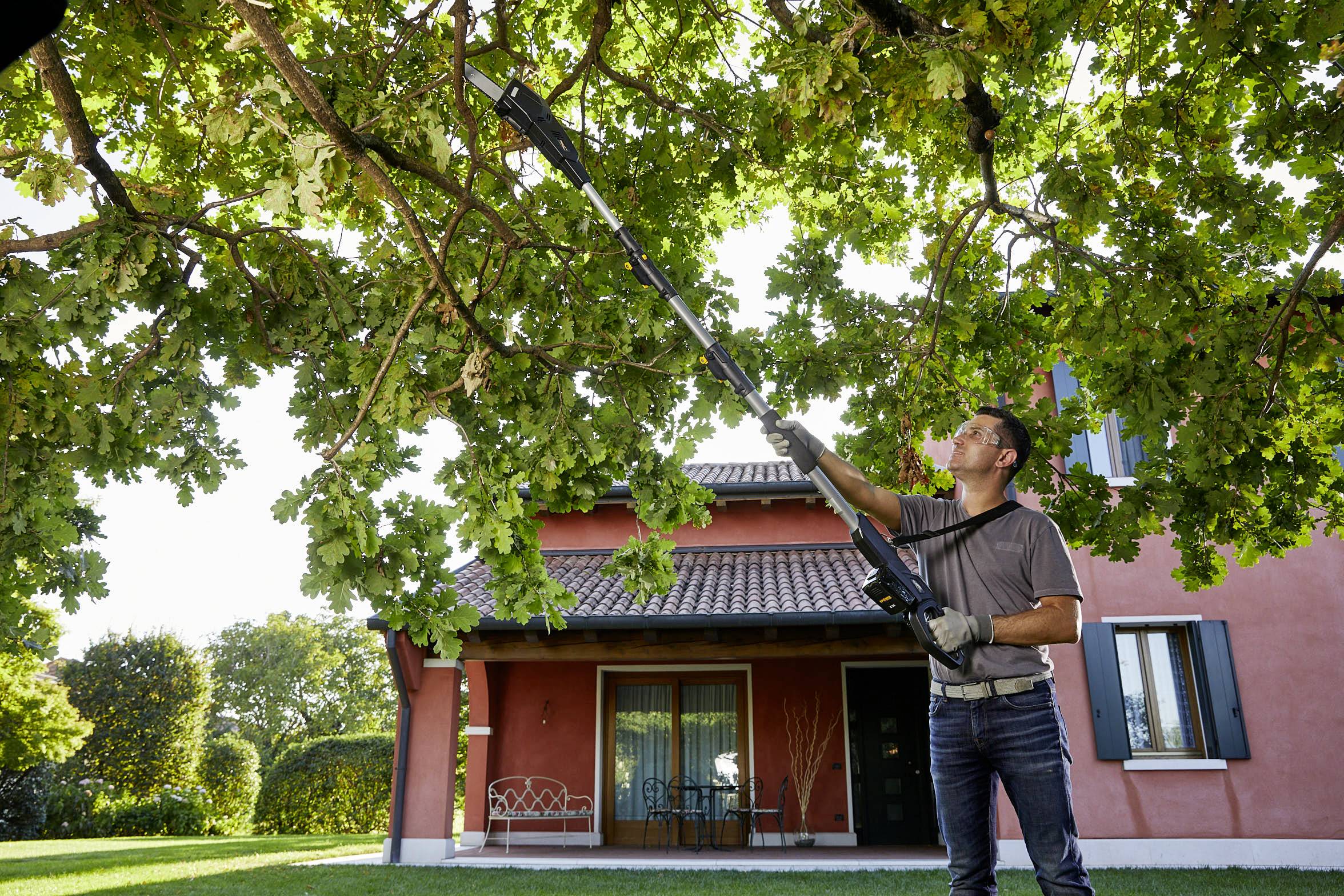 ALPINA Outdoor 271724104/A21 Akku Multitool, Hochentaster, Heckenschere AMT 20 Li 230 V Li-Ion