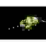 Sygonix SY-4723732 Mini guirlande lumineuse sur secteur Nombre de lumière 50 blanc chaud Longueur éclairée: 9.9 m