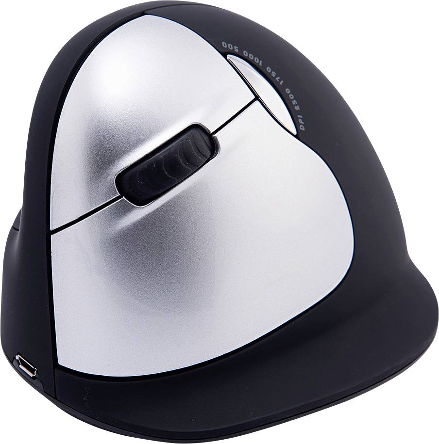 R-GO Tools HE (RGOHELELAWL) Ergonomische Maus Funk Größe: L Optisch Schwarz/Silber 5 Tasten 2500 dpi Ergonomisch, Wiederaufladbar, USB-Anschluss,