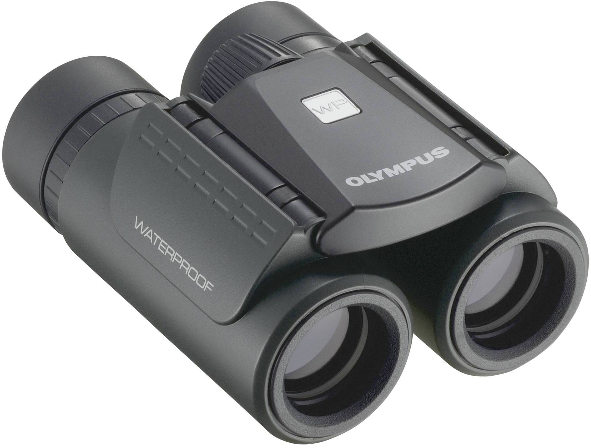 Olympus Fernglas 10 x 21 mm Dachkant Schwarz V501054BE000