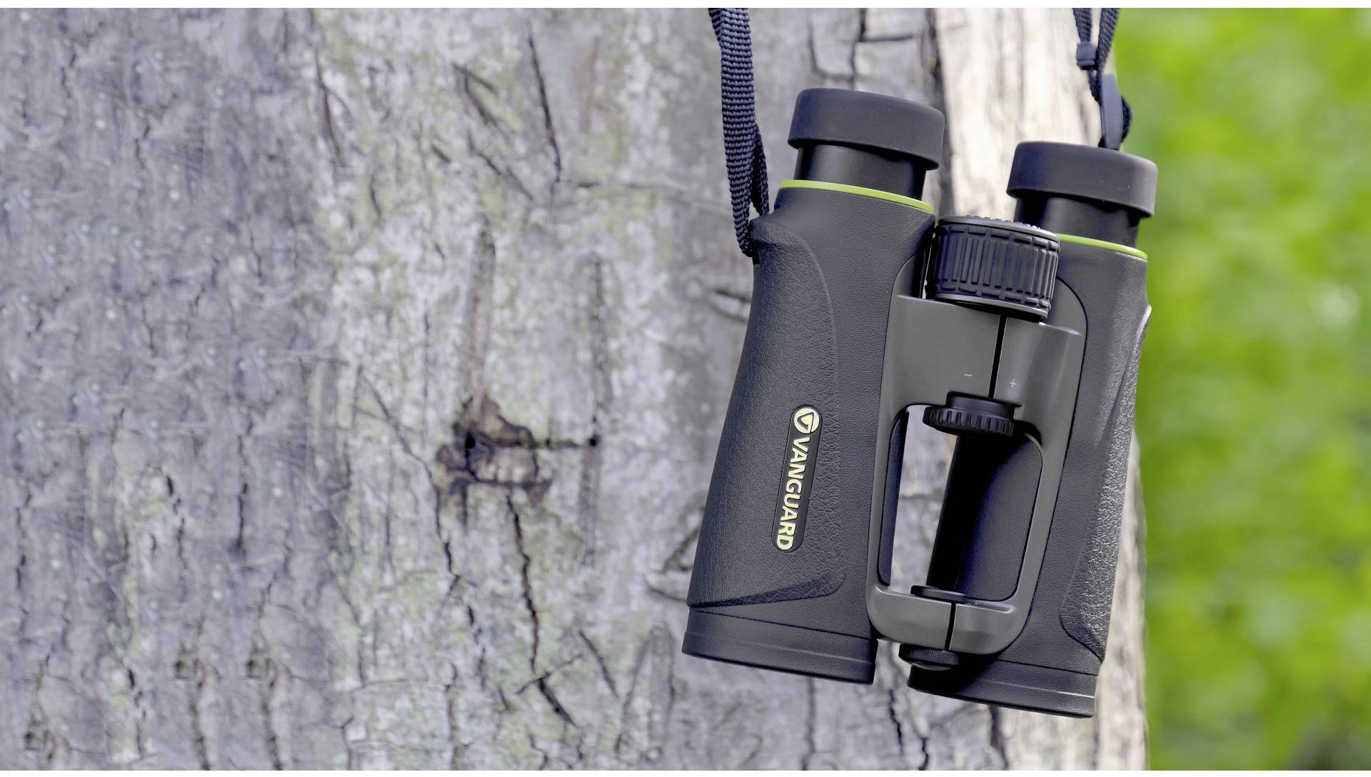 Vanguard Fernglas 8 x 42mm Dachkant Schwarz ENDEAVOREDIV8X42