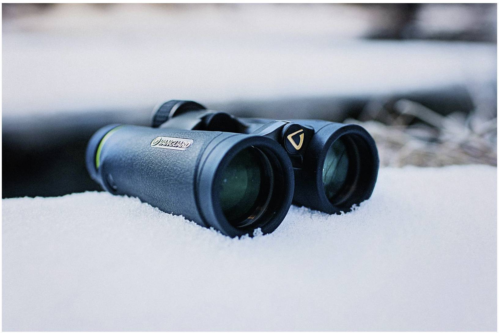 Vanguard Fernglas 8 x 42mm Dachkant Schwarz ENDEAVOREDIV8X42