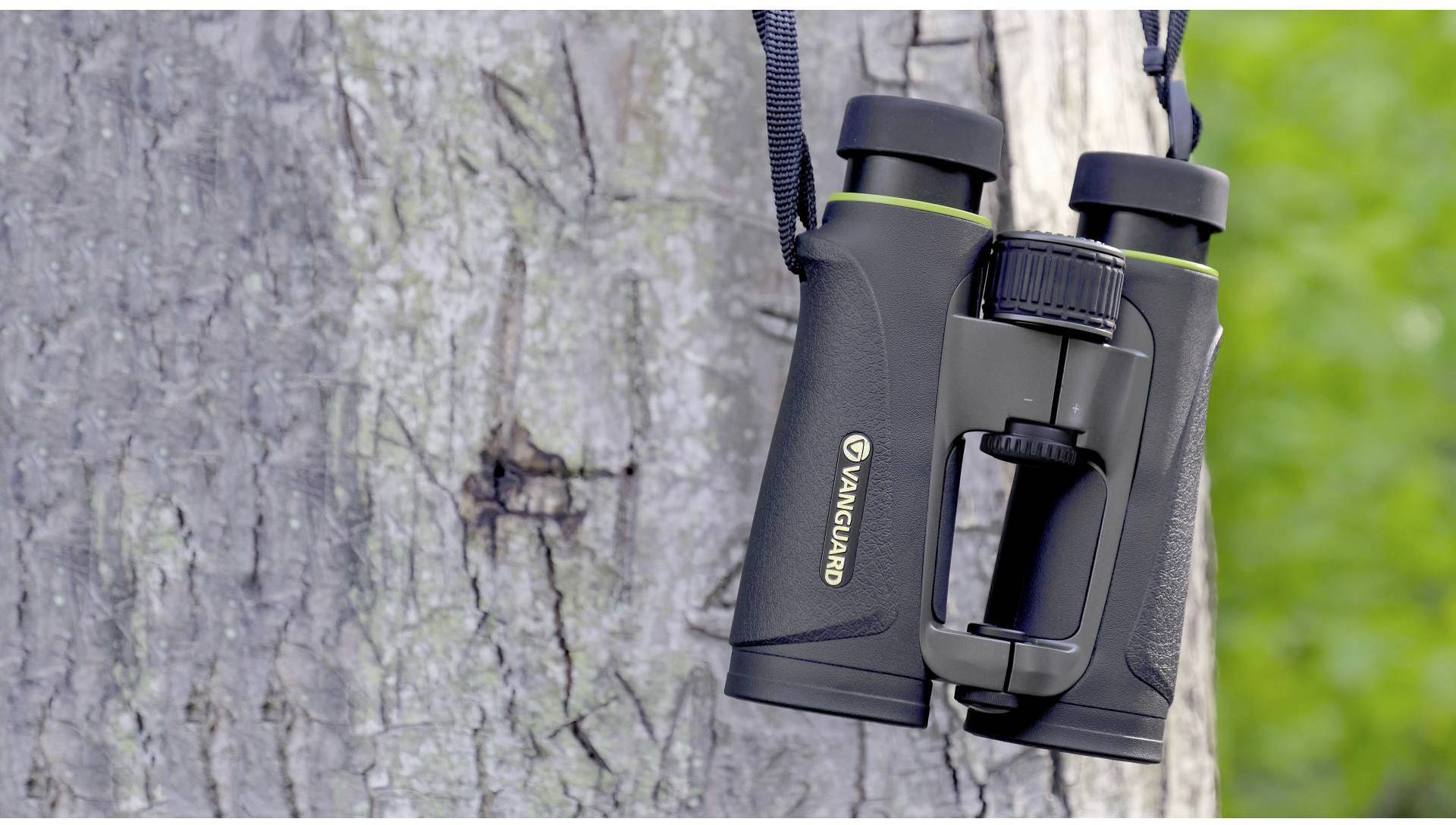 Vanguard Fernglas 10 x 42 mm Dachkant Schwarz ENDEAVOREDIV1042