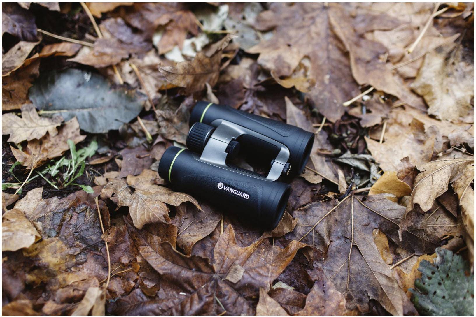 Vanguard Fernglas 10 x 42 mm Dachkant Schwarz ENDEAVOREDIV1042