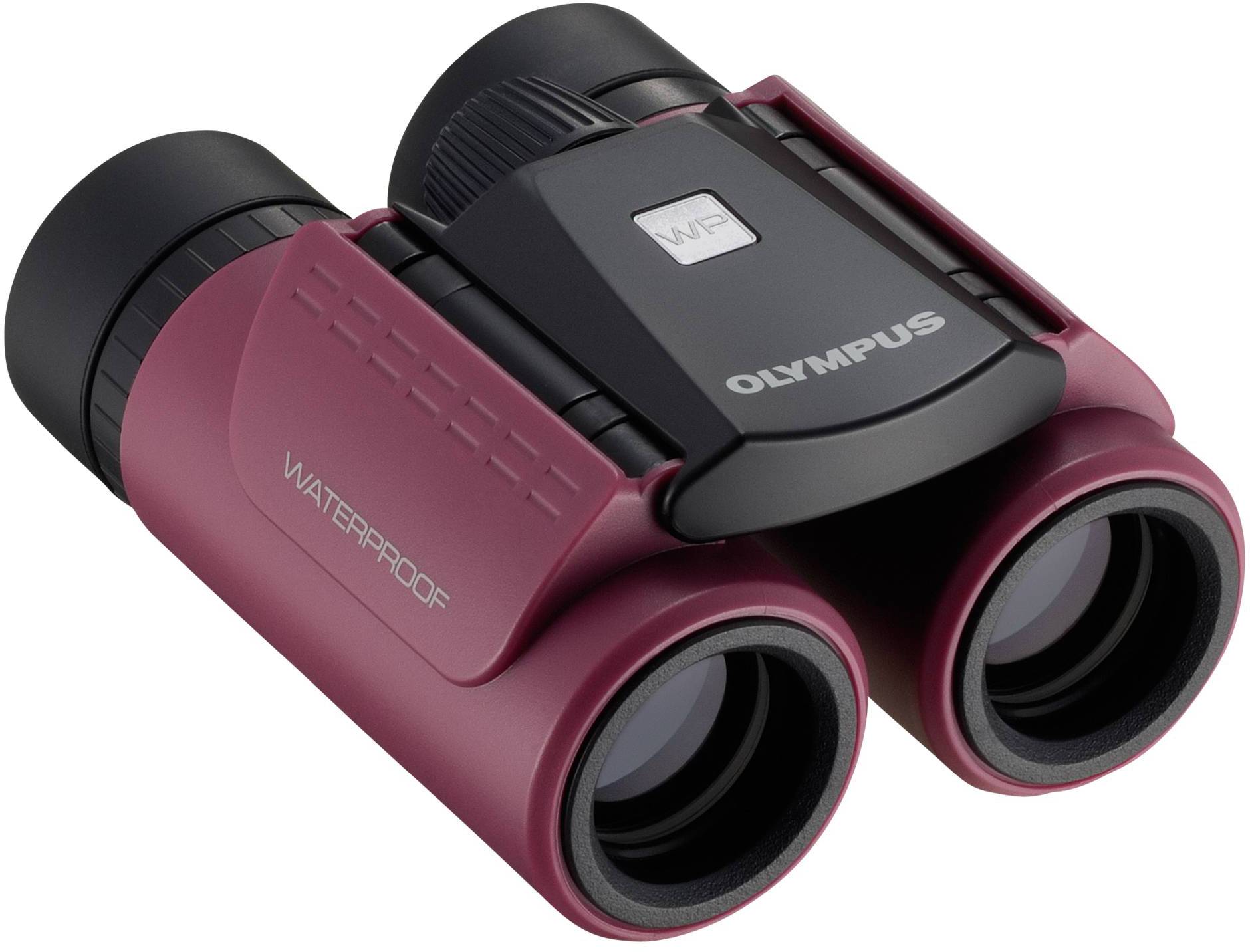 Olympus Fernglas 8 x 21 mm Dachkant V501013RE000