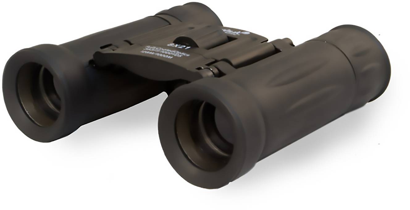 Levenhuk Fernglas 8 x 21mm Dachkant Schwarz 67675