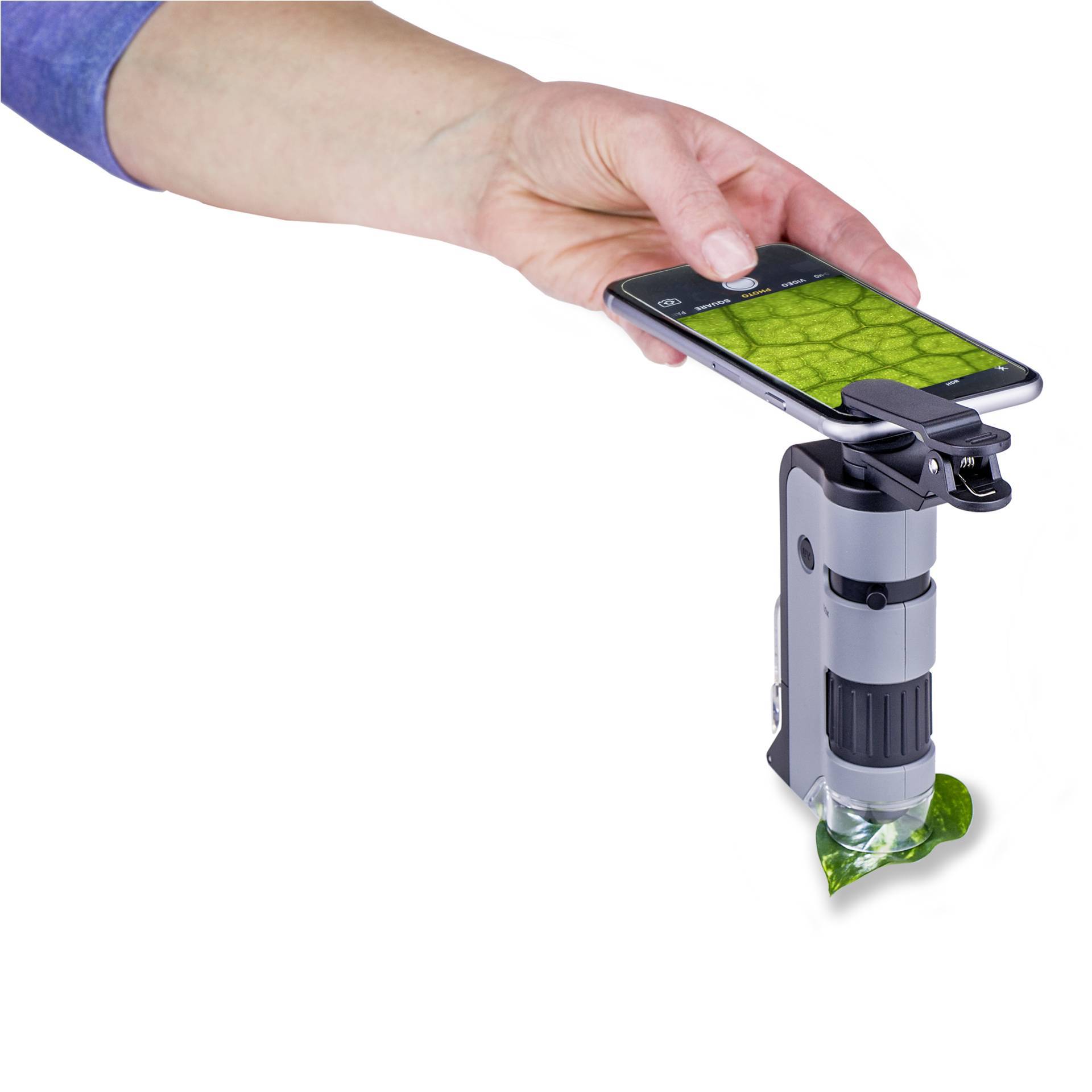Eine Hand hält ein Smartphone, das mit einem Mikroskop verbunden ist, um ein vergrößertes Bild eines grünen Blatts zu zeigen.