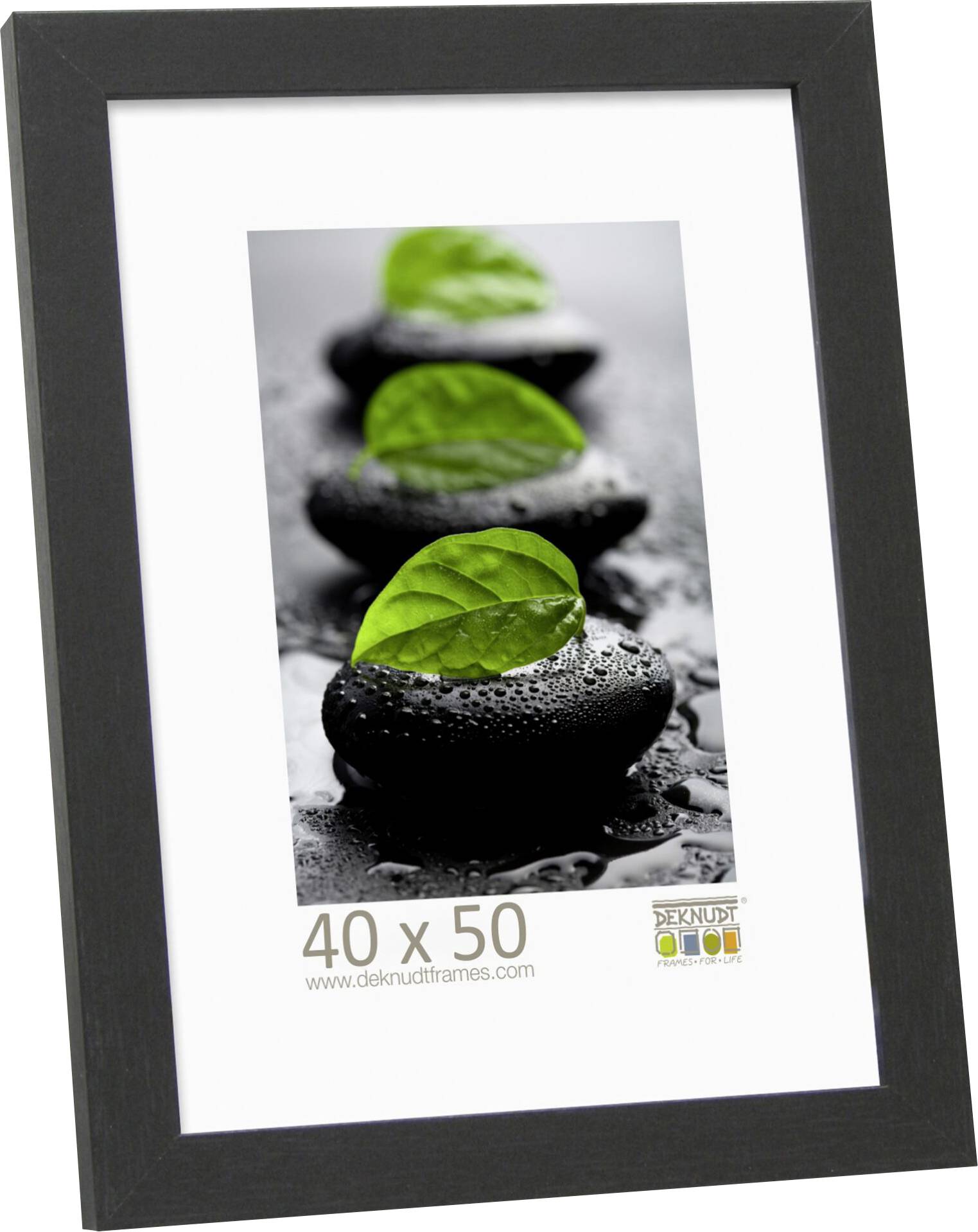 Ein gerahmtes Bild zeigt nasse, schwarze Steine mit grünen Blättern darauf; Maße 40 x 50 cm.