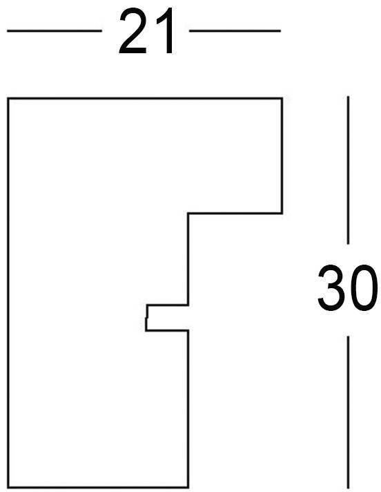 Grundriss mit L-förmiger Struktur, Maße: 21 cm Breite, 30 cm Höhe.