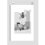 walther+ design HO130W Bilder Wechselrahmen Papierformat: DIN A4 Weiß