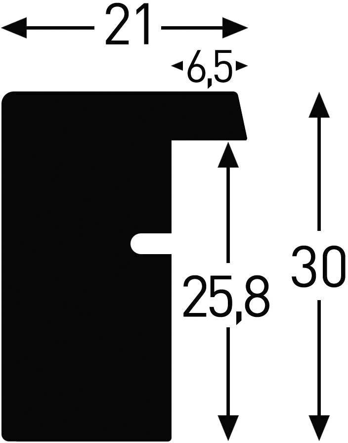 Bild zeigt die Querschnittansicht eines Profils mit Maßen: Breite 21 mm, Tiefe 6,5 mm, Höhe 30 mm, Stufenhöhe 25,8 mm.