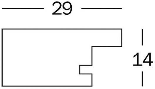 Grundriss eines rechteckigen Bereichs mit einer vertikalen Einbuchtung; Beschriftungen '29' oben und '14' rechts.