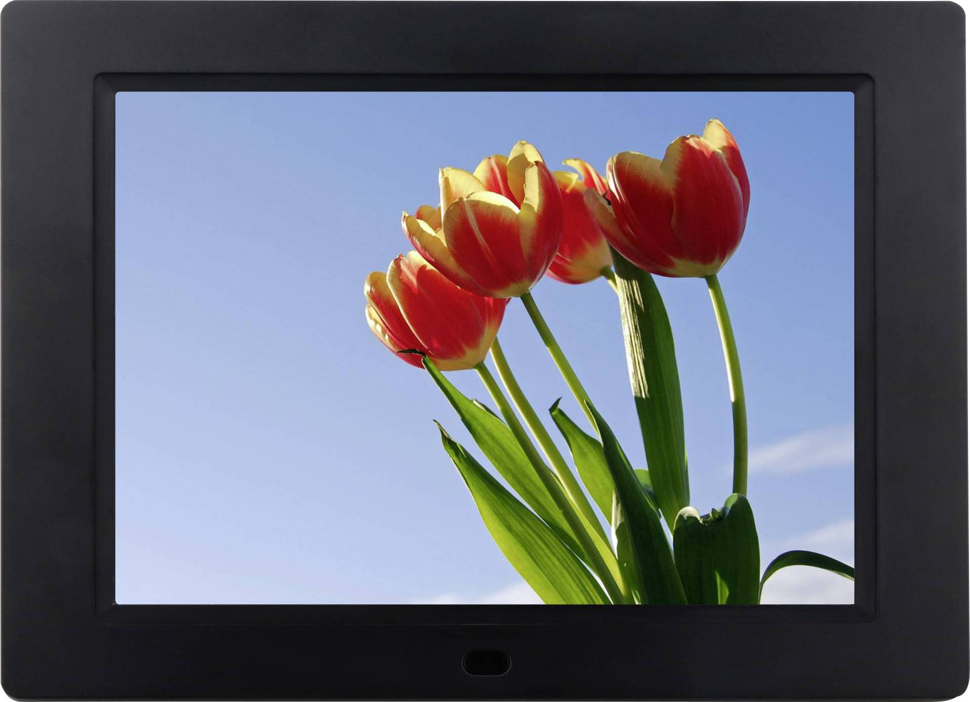 Braun Phototechnik DigiFrame 857 Digitaler Bilderrahmen 20.3cm 8 Zoll EEK: B (A - G) 1024 x 768 Pixel Schwarz