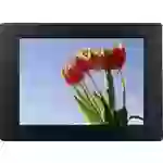 Braun Phototechnik DigiFrame 857 Digitaler Bilderrahmen 20.3cm 8 Zoll EEK: B (A - G) 1024 x 768 Pixel Schwarz Braun Phototechnik DigiFrame 857 Digitaler Bilderrahmen 20.3cm 8 Zoll EEK: B (A - G) 1024 x 768 Pixel Schwarz