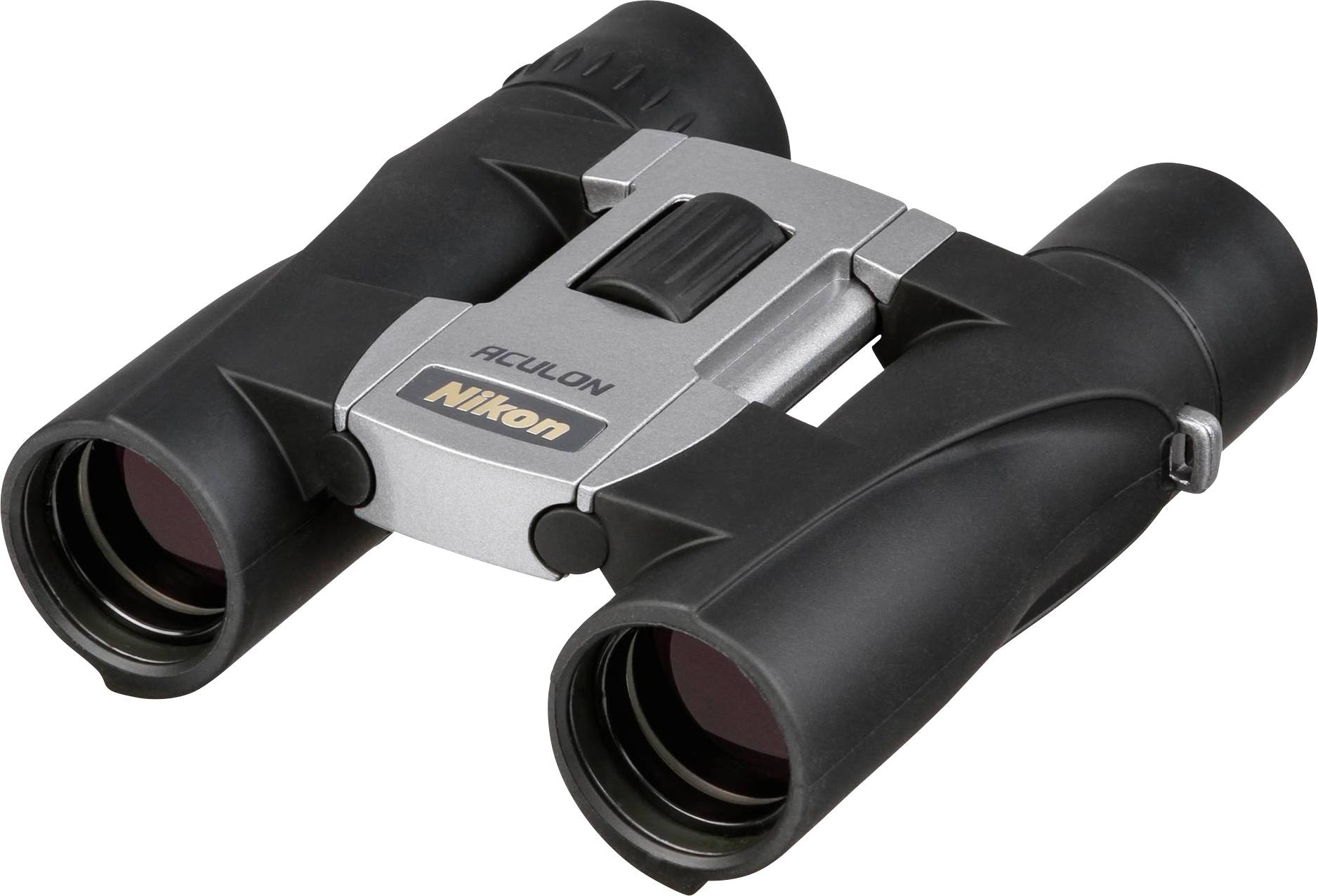 Nikon Fernglas 10 x 25 mm Dachkant Silber BAA808SB