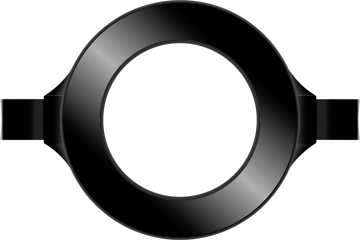 Schwarzes, glänzendes Oval mit zwei seitlichen Ausbuchtungen vor weißem Hintergrund.