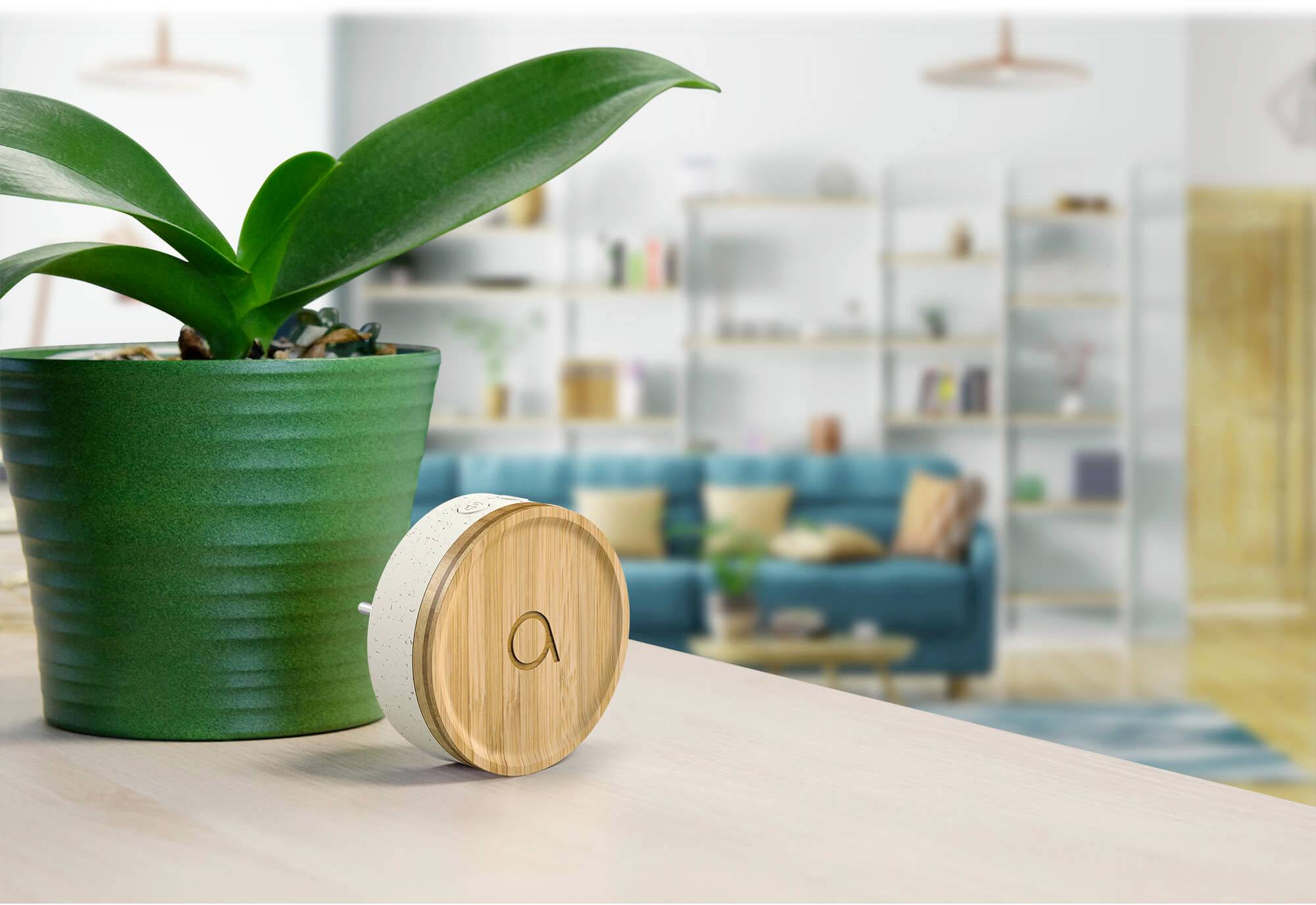 Avidsen 102498 Funkklingel Komplett-Set batterielos, mit Namensschild