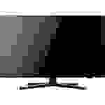 Reflexion LED-TV 47 cm 18.5 Zoll EEK F (A - G) DVB-C, DVB-S2, DVB-T2, DVB-T2 HD, DVD-Player, HD rea