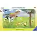 Ravensburger 06066 Rahmenpuzzle Knuffige Tierfreunde 15 Teile 6066 Ravensburger 06066 Rahmenpuzzle Knuffige Tierfreunde 15 Teile 6066