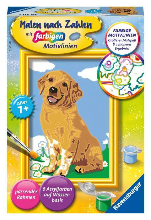 MNZ Kleiner Golden Retriever