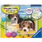Ravensburger 28329 Malen nach Zahlen: Jack Russel Welpen Ravensburger 28329 Malen nach Zahlen: Jack Russel Welpen