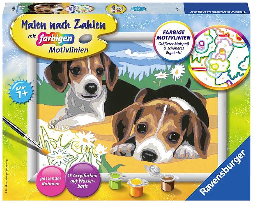 Ravensburger 28329 Malen nach Zahlen: Jack Russel Welpen