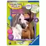 MNZ Pferde im Sonnenuntergang MNZ Pferde im Sonnenuntergang