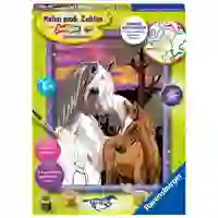 MNZ Pferde im Sonnenuntergang MNZ Pferde im Sonnenuntergang