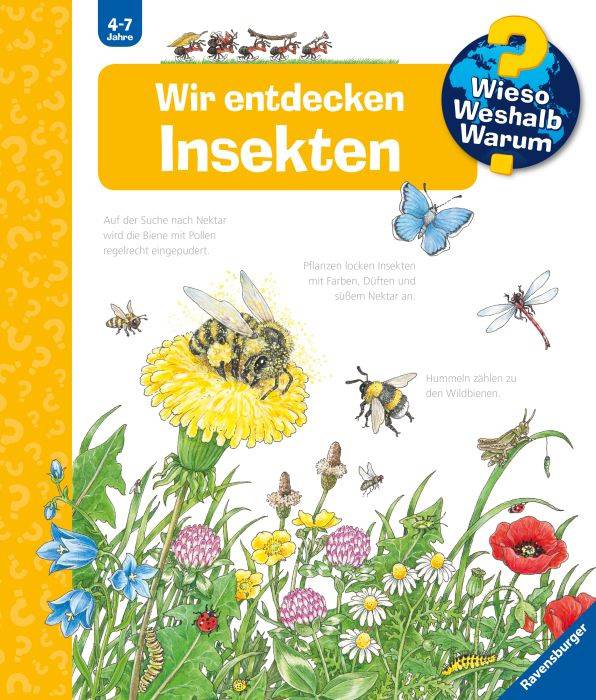 WWW39 Wir entdecken Insekten