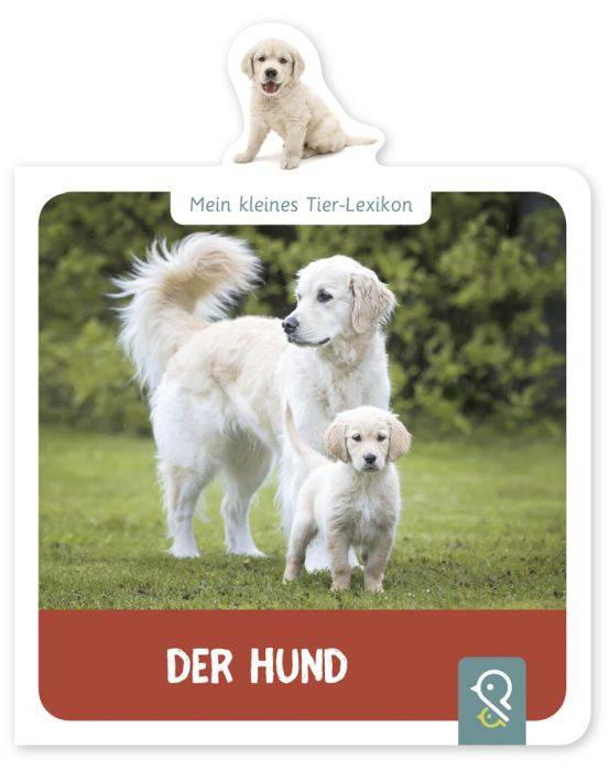 Mein kleines Tier-Lexikon Der Hund