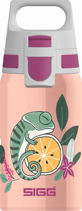 Vedes SIGG Shield One Flora 0.5L mit WMB ONE TOP, BPA frei, Auslaufsicher, Co# taug 9000.90