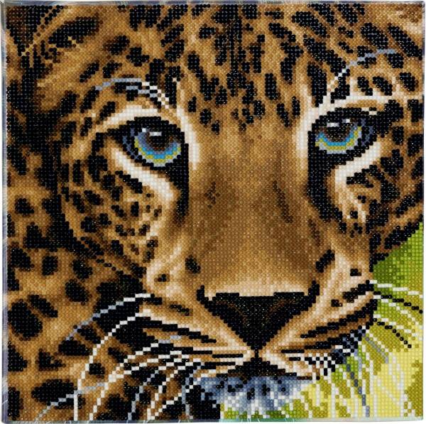 Vedes Crystal Art Leinwand Leopard 30x30cm CAK-A66