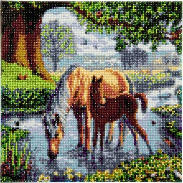 Vedes Crystal Art Leinwand Ponys 30x30cm CAK-SC1