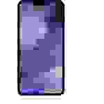 Teccus Displayschutzglas iPhone 12 Pro Max 2 St. TGTIPH12PM