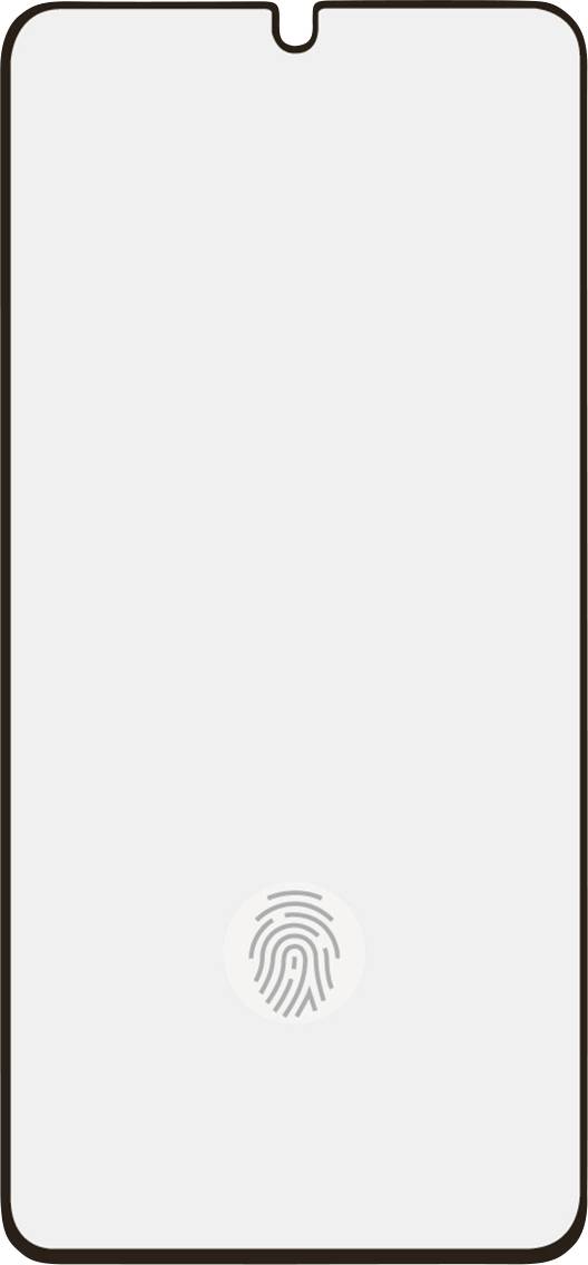 Teccus Displayschutzglas Samsung Galaxy S21+ (5G) 2 St. FSTGTSGS21P