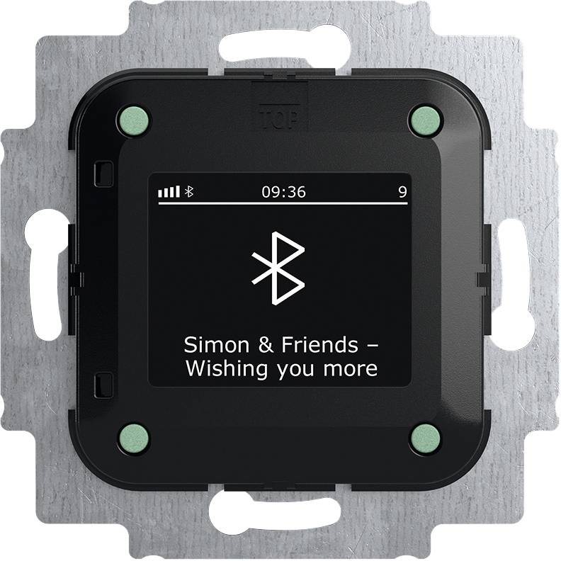 Busch-Jaeger Radio 2CKA008200A0278 1St.