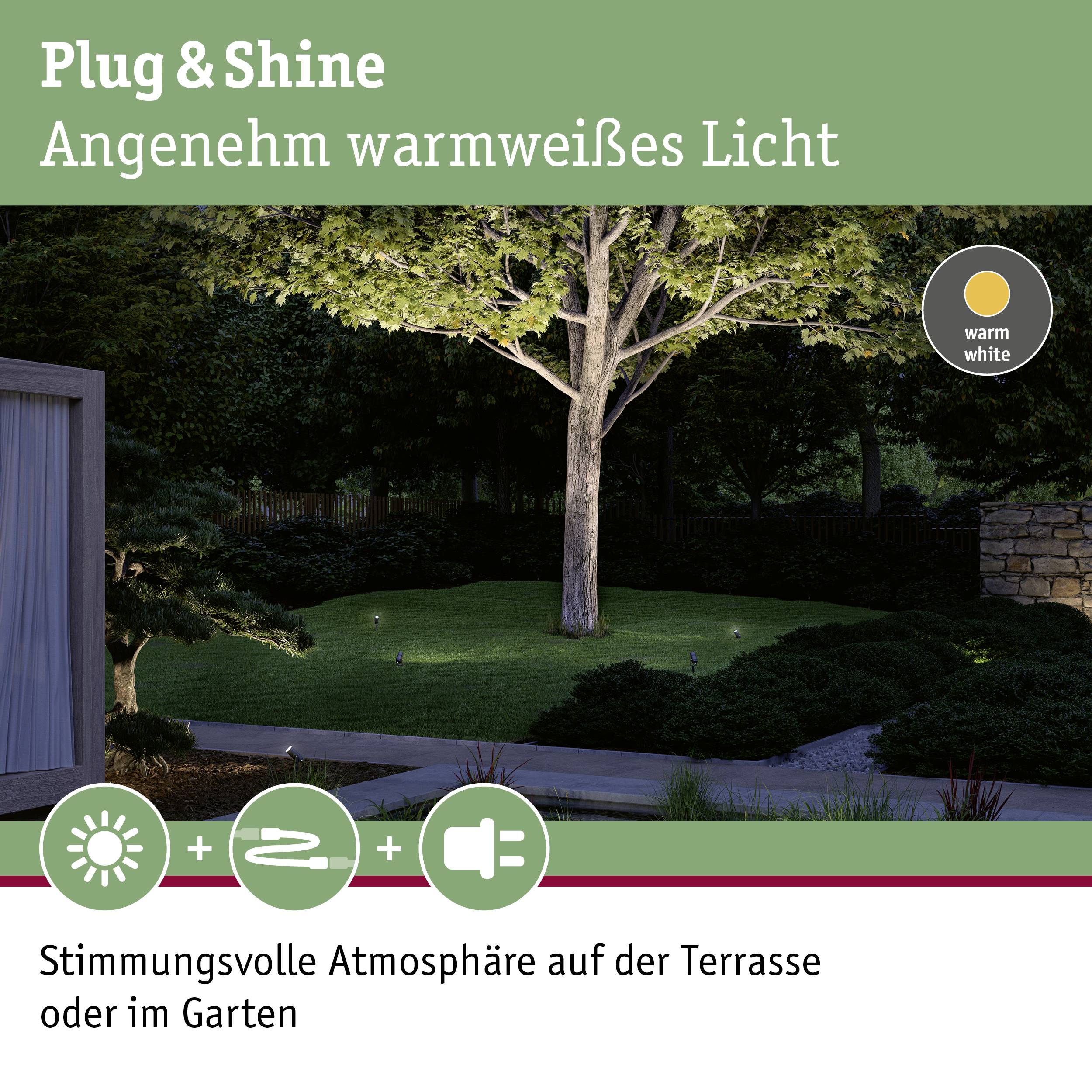 Paulmann 94367 Beleuchtungssystem Plug & Shine LED-Wandleuchte LED 12 W Warmweiß Grau