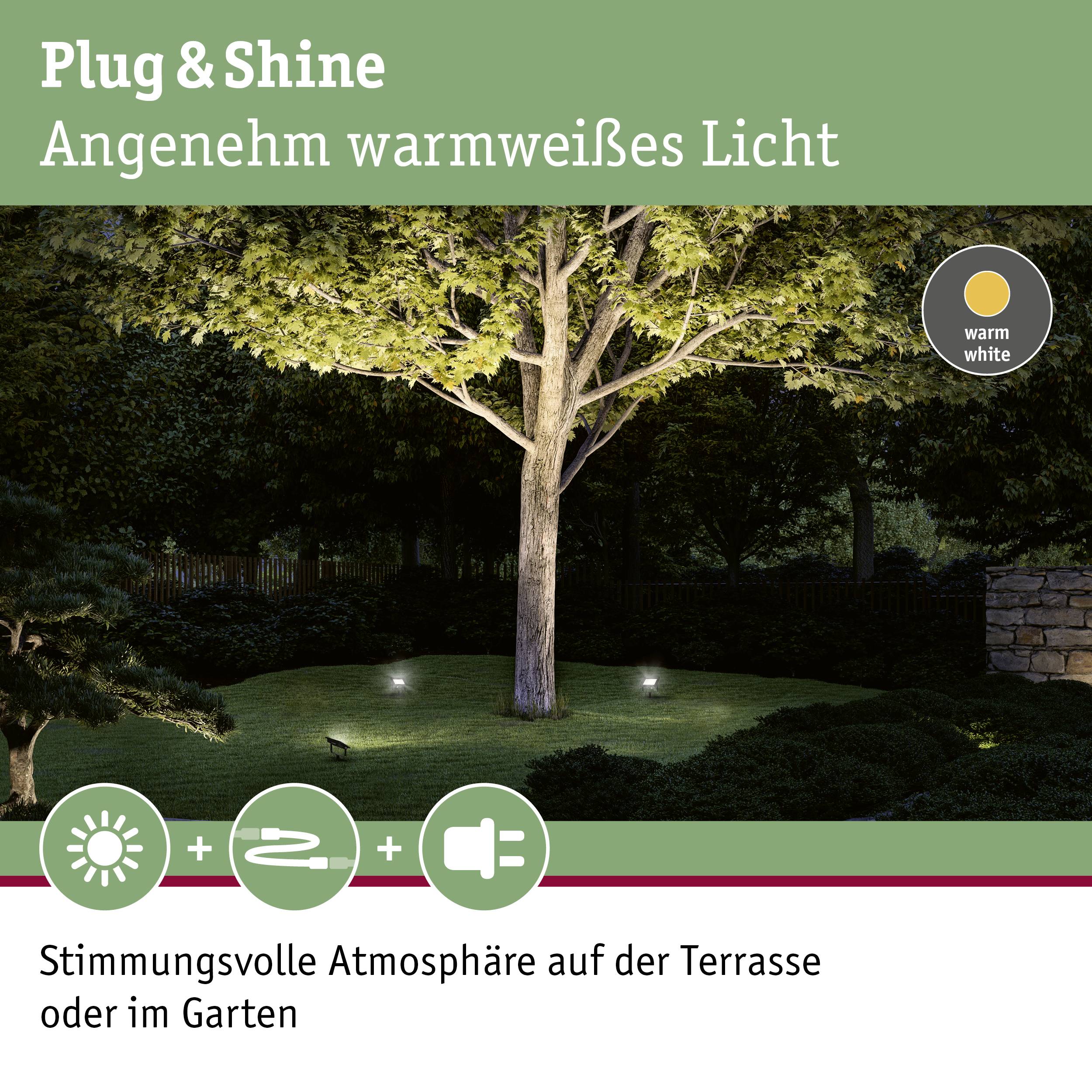 Paulmann 94575 Beleuchtungssystem Plug & Shine 16W Warmweiß Schwarz