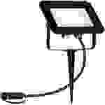 Paulmann 94575 Système d'éclairage Plug&Shine 16 W blanc chaud noir