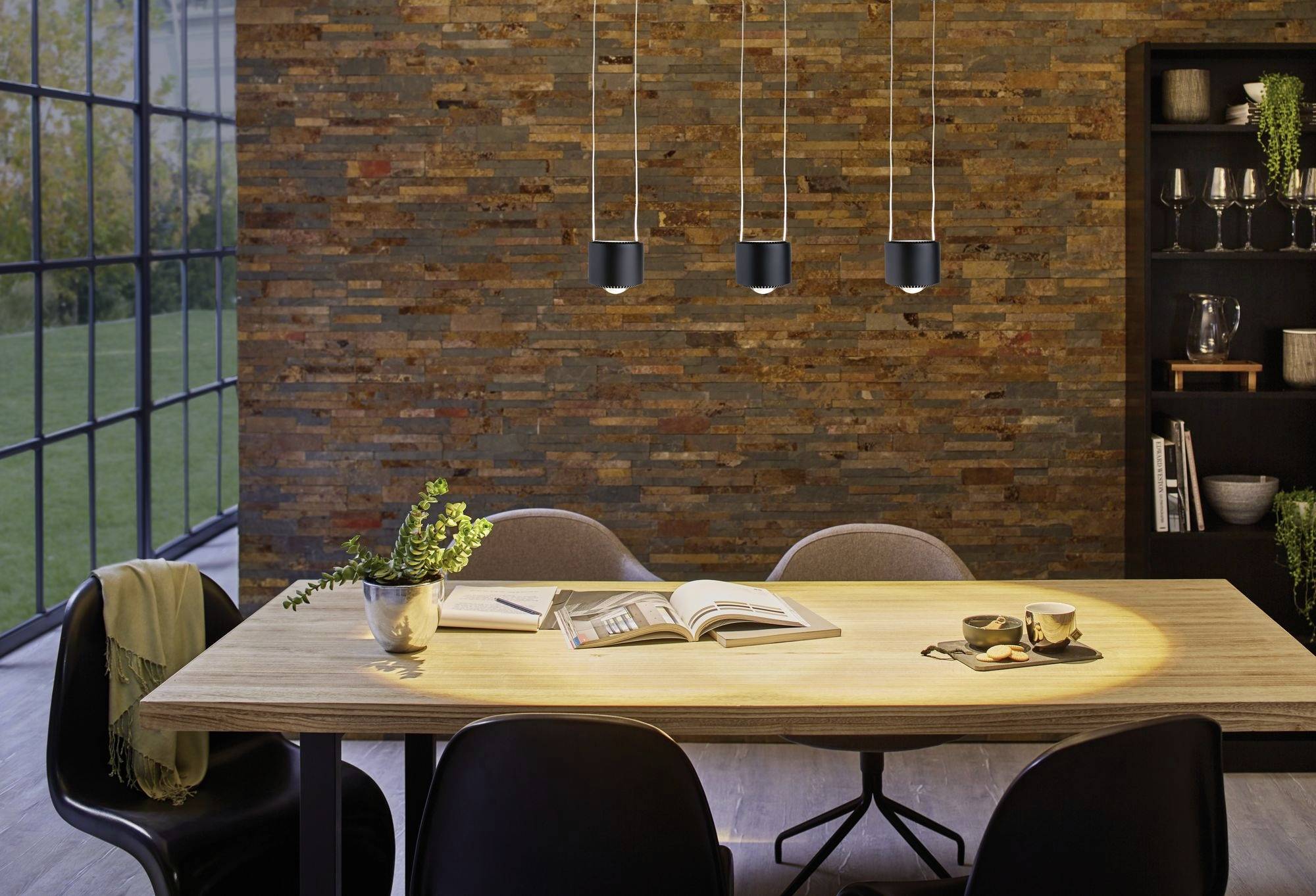 Paulmann URail Pendel Aldan LED-Pendelleuchte URail 13W Schwarz (matt)